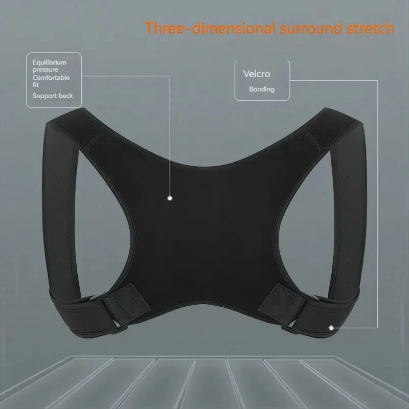 Posture Support Belt
